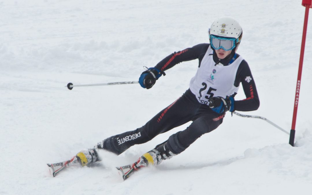 Alpine Ski