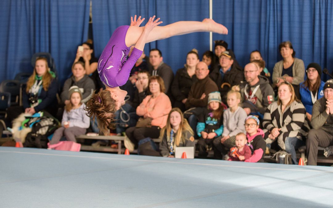 Gymnastic